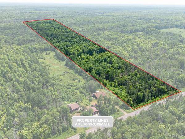 20 Acres of Recreational & Residential Land for Sale in Skandia, Michigan