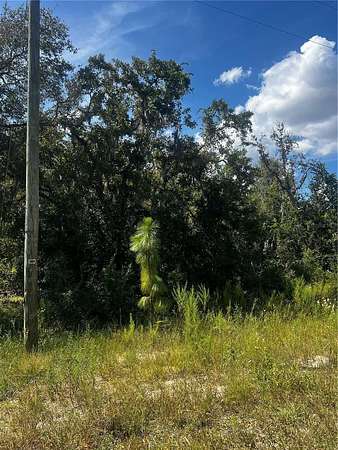 0.5 Acres of Residential Land for Sale in Weeki Wachee, Florida
