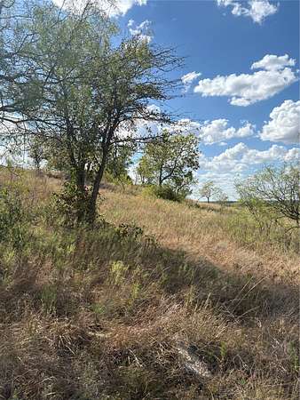 10 Acres of Land for Sale in Gustine, Texas