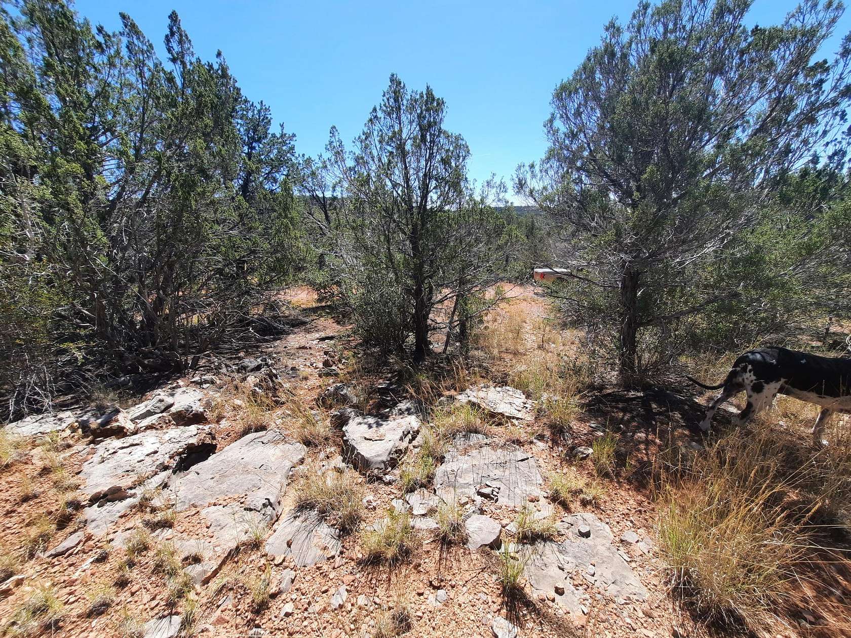 2 Acres of Land for Sale in Seligman, Arizona
