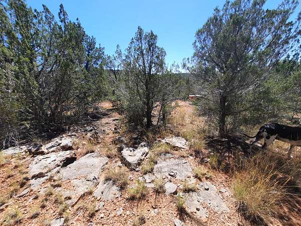 2 Acres of Land for Sale in Seligman, Arizona