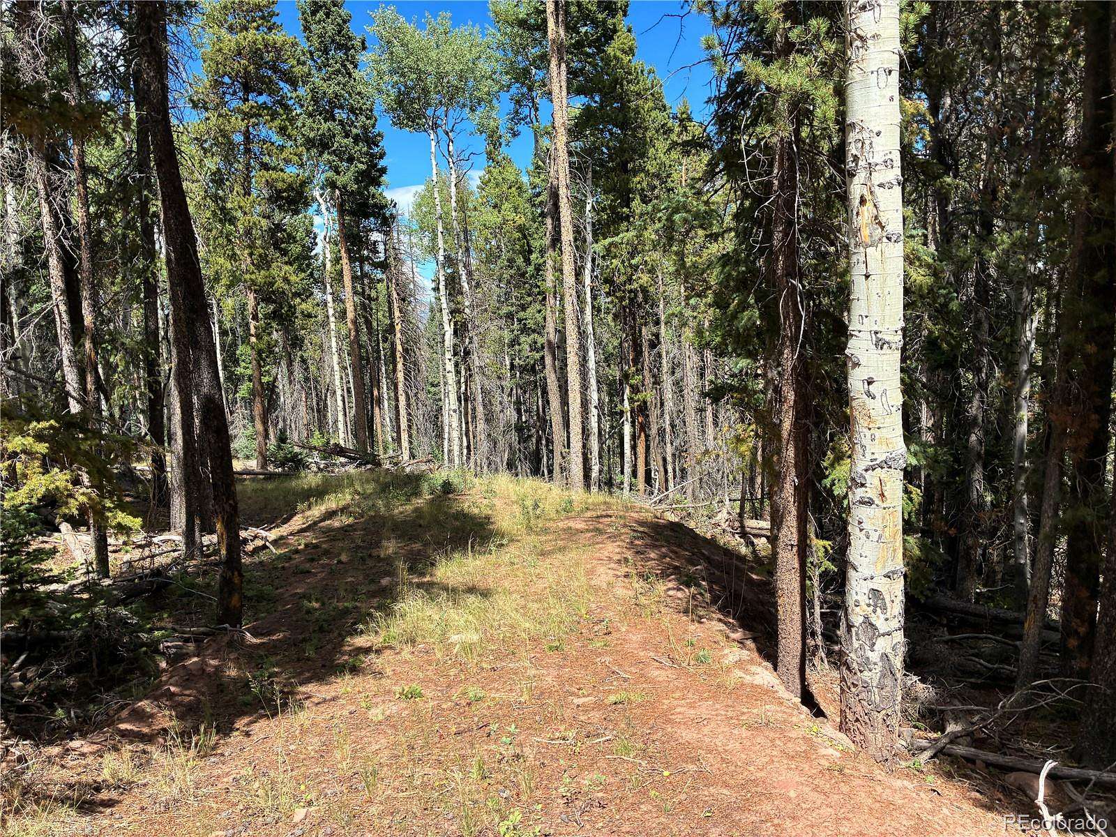 3.4 Acres of Residential Land for Sale in Fort Garland, Colorado