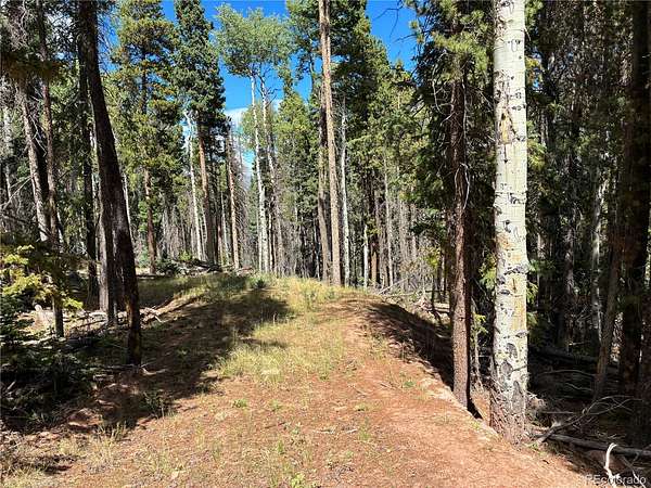 3.4 Acres of Residential Land for Sale in Fort Garland, Colorado