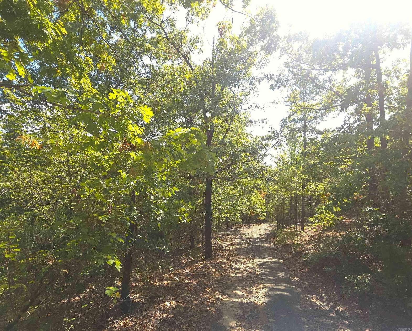 25 Acres of Recreational & Residential Land for Sale in Mena, Arkansas