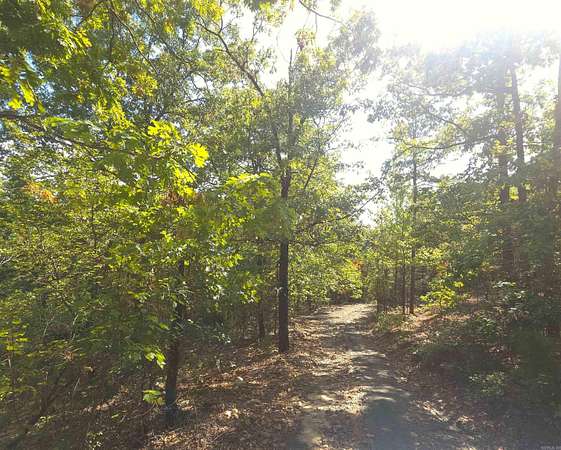 25 Acres of Recreational & Residential Land for Sale in Mena, Arkansas