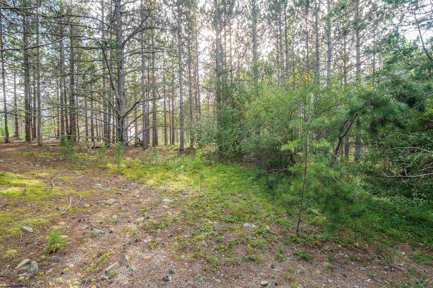 4 Acres of Residential Land for Sale in Davis, West Virginia