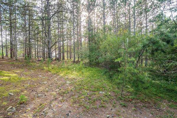 4 Acres of Residential Land for Sale in Davis, West Virginia