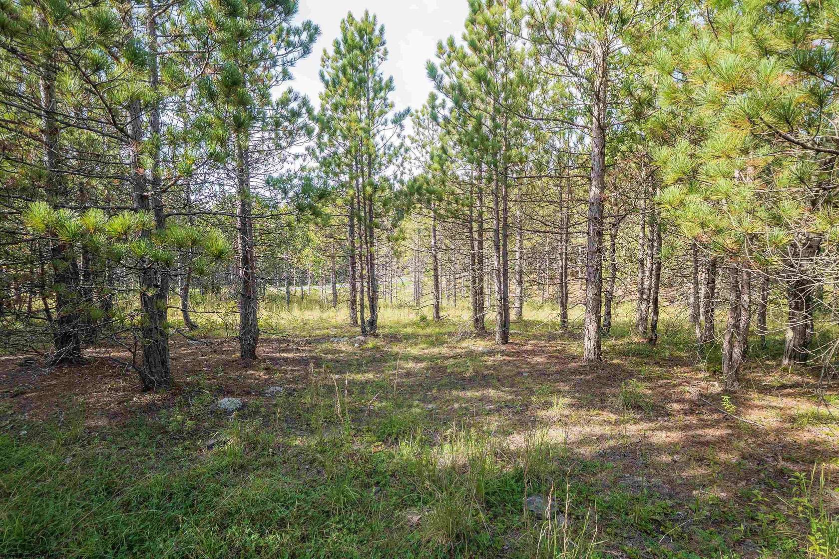 1.8 Acres of Residential Land for Sale in Davis, West Virginia