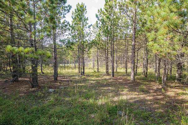 1.8 Acres of Residential Land for Sale in Davis, West Virginia