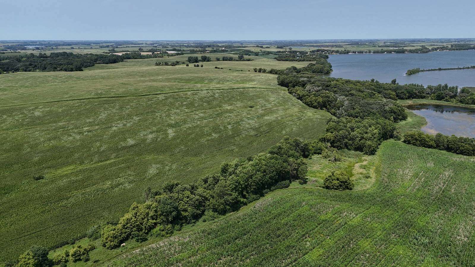 211 Acres of Land for Auction in Hoffman, Minnesota