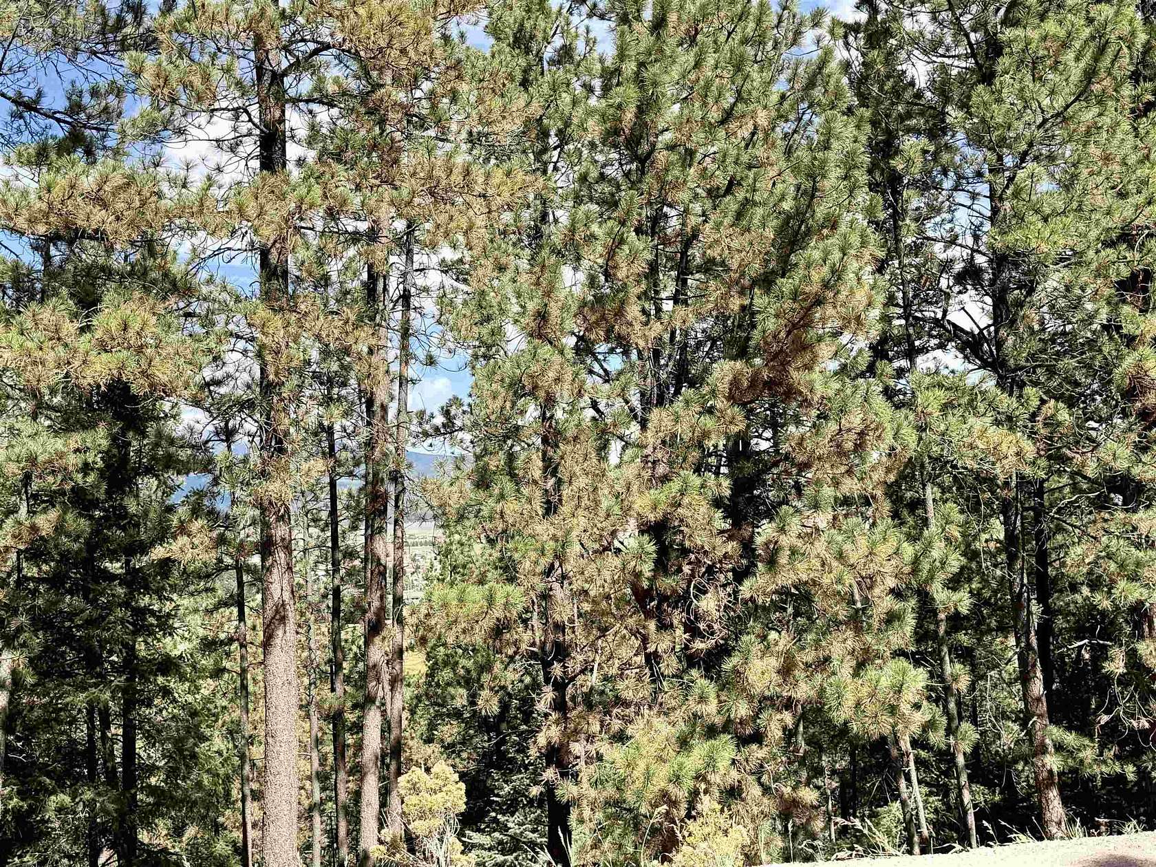 1.67 Acres of Residential Land for Sale in Angel Fire, New Mexico