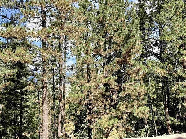 1.67 Acres of Residential Land for Sale in Angel Fire, New Mexico