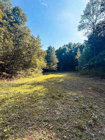 60.6 Acres of Land for Sale in South Shore, Kentucky