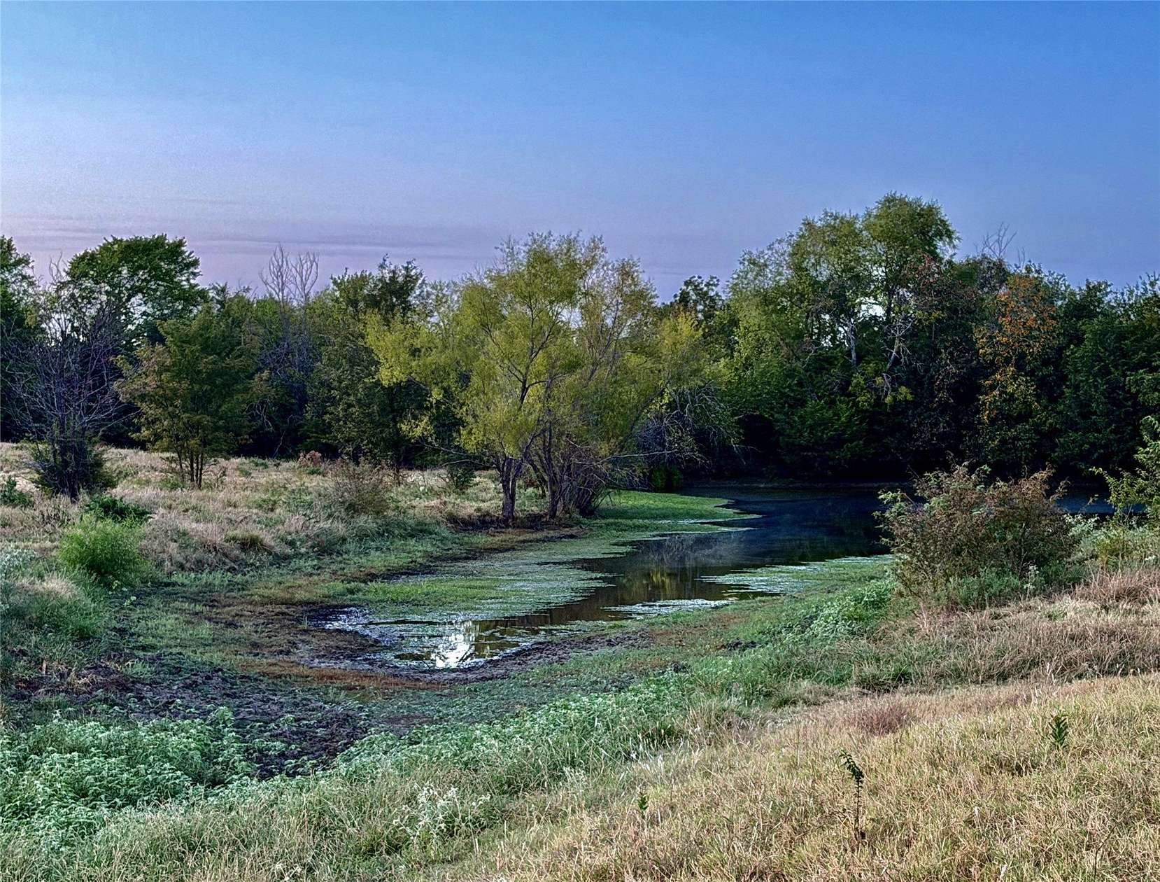 72.7 Acres of Land for Sale in Dodd City, Texas