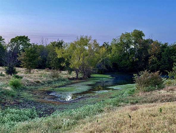 72.7 Acres of Land for Sale in Dodd City, Texas