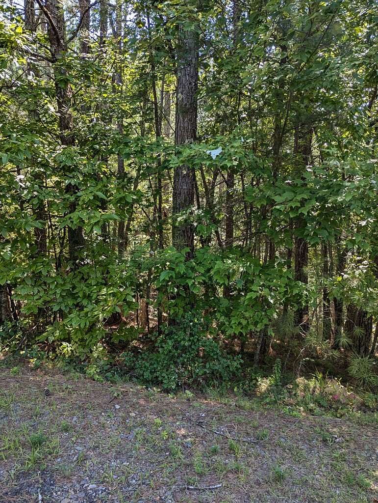 1.73 Acres of Land for Sale in Copperhill, Tennessee