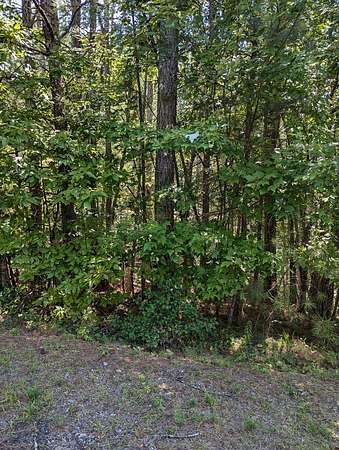 1.73 Acres of Land for Sale in Copperhill, Tennessee