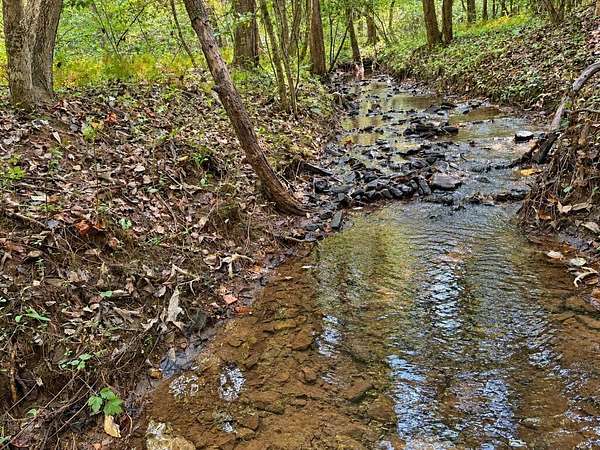 0.99 Acres of Residential Land for Sale in Blue Ridge, Georgia