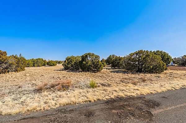 0.46 Acres of Residential Land for Sale in Concho, Arizona
