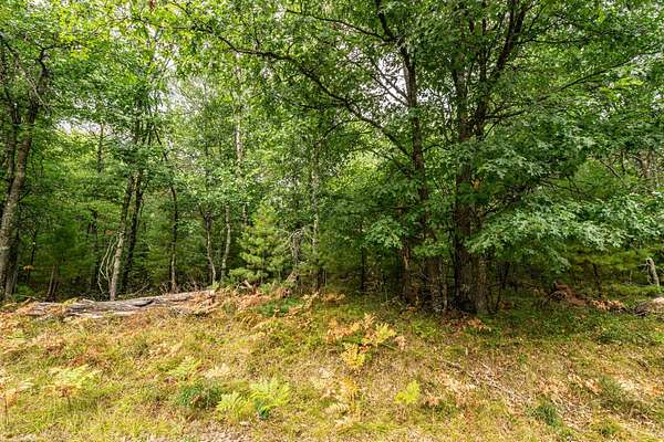 7.6 Acres of Residential Land for Sale in Barnes Town, Wisconsin