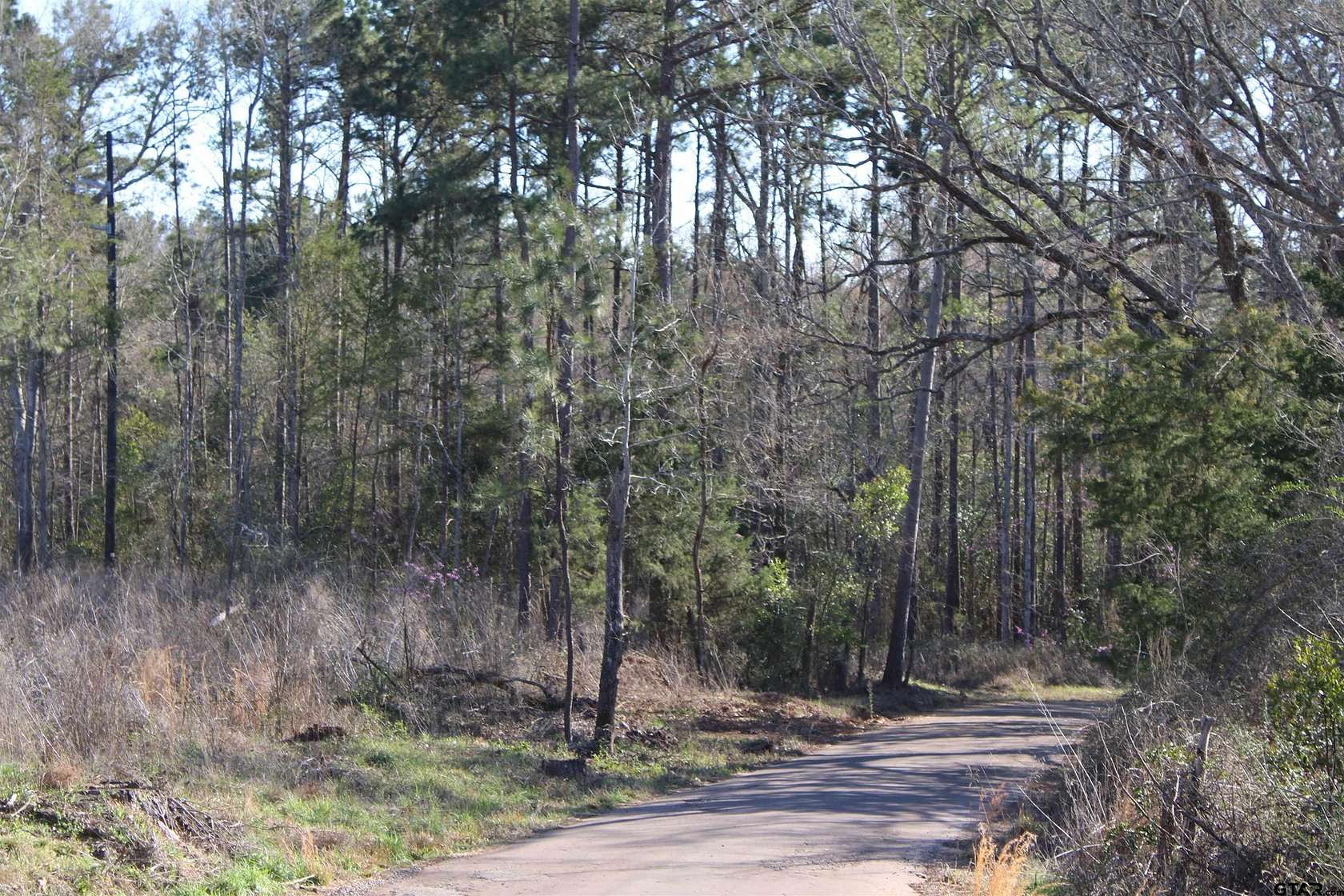 21 Acres of Recreational & Residential Land for Sale in Rusk, Texas