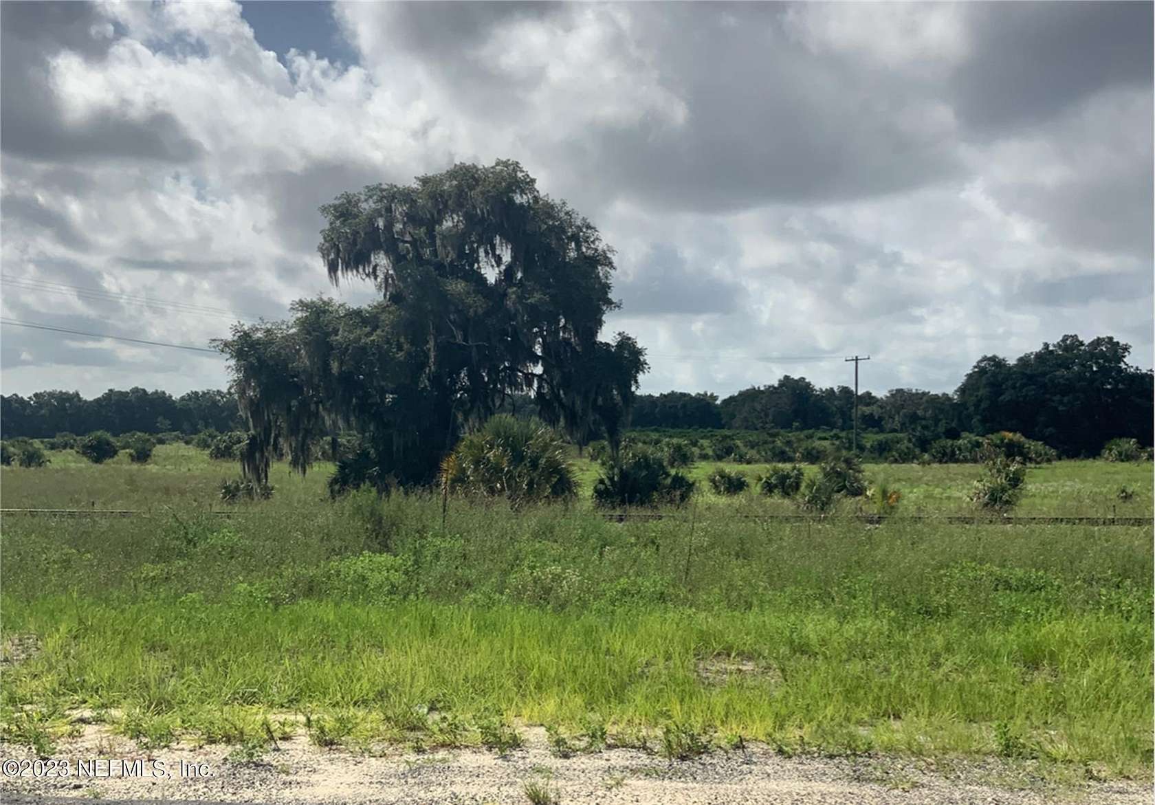 37 Acres of Land for Sale in Hawthorne, Florida