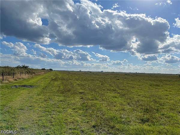 56.4 Acres of Agricultural Land for Sale in LaBelle, Florida