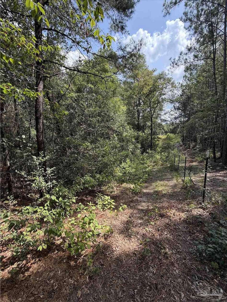 7.7 Acres of Residential Land for Sale in Brewton, Alabama
