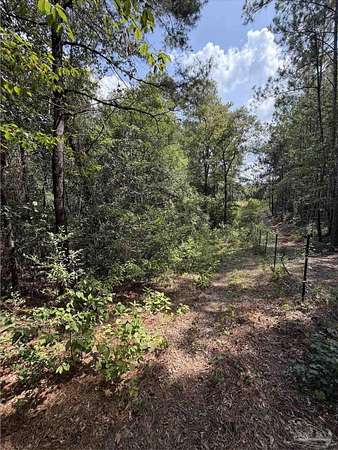 7.7 Acres of Residential Land for Sale in Brewton, Alabama