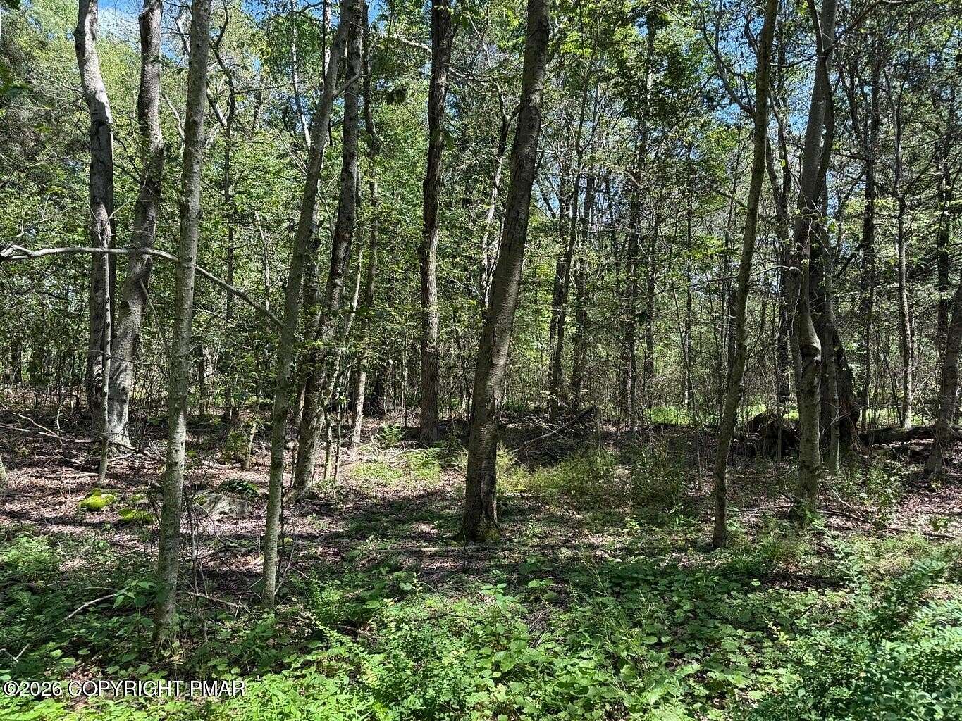 0.58 Acres of Residential Land for Sale in Newfoundland, Pennsylvania