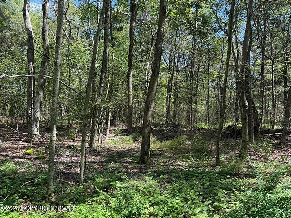 0.58 Acres of Residential Land for Sale in Newfoundland, Pennsylvania