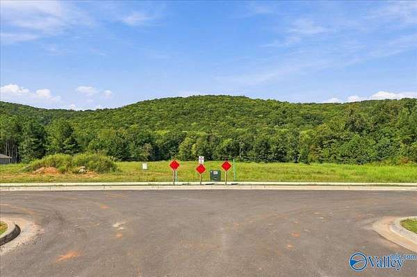 16.7 Acres of Land for Sale in Owens Cross Roads, Alabama