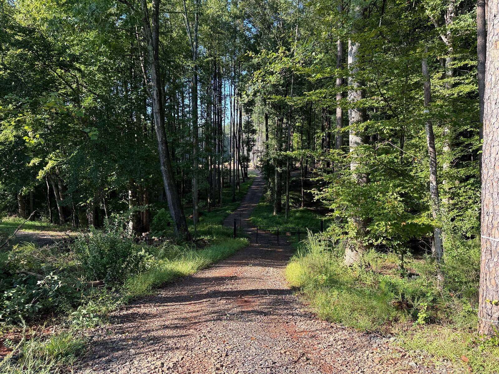 45.3 Acres of Recreational Land for Auction in Orange, Virginia