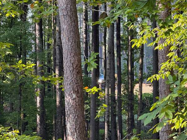 45.3 Acres of Recreational Land for Auction in Orange, Virginia