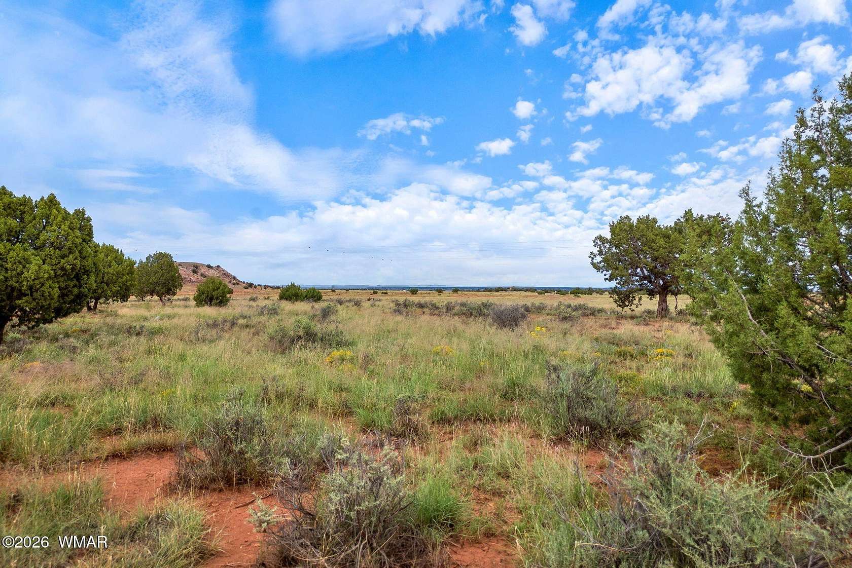 41 Acres of Land for Sale in Concho, Arizona