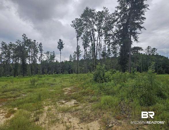 19.5 Acres of Land for Sale in Perdido, Alabama