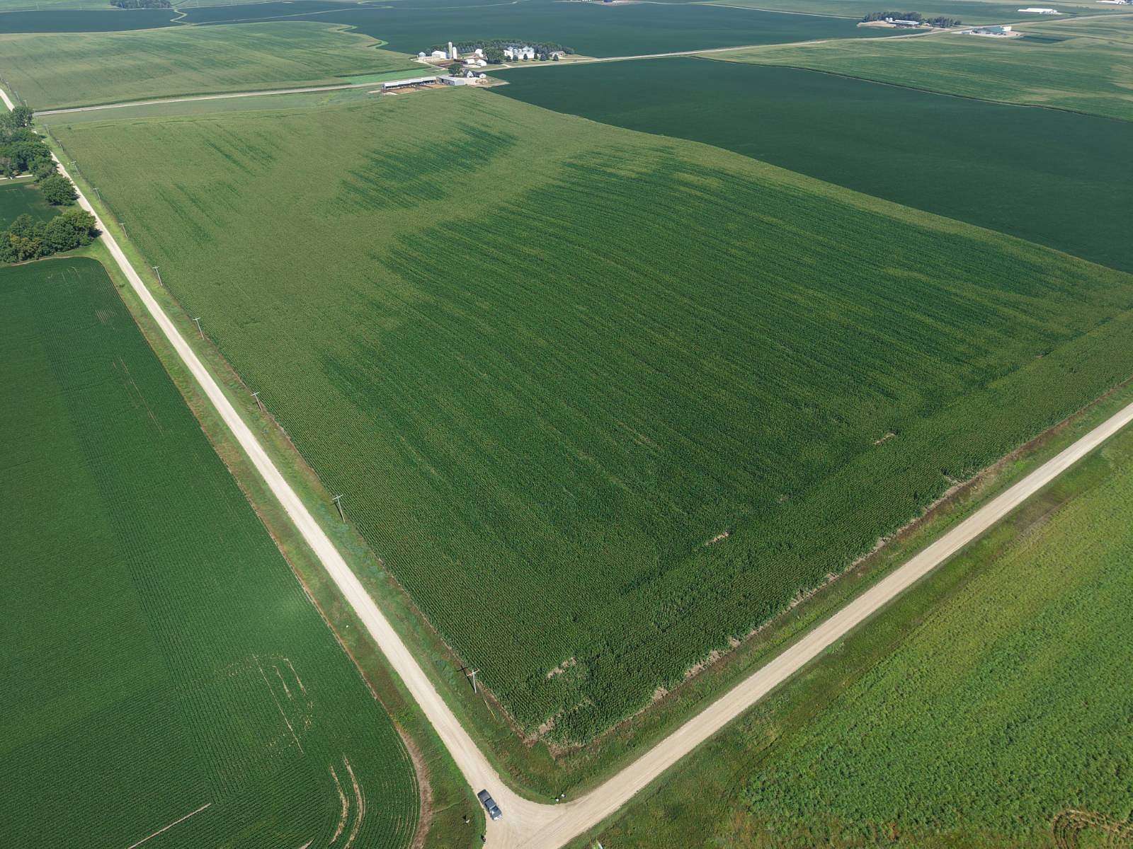 227 Acres of Land for Auction in Luverne, Minnesota