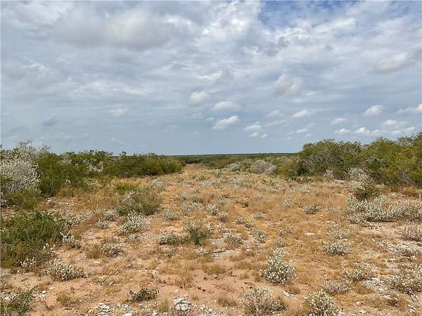 22.3 Acres of Recreational Land for Sale in San Diego, Texas