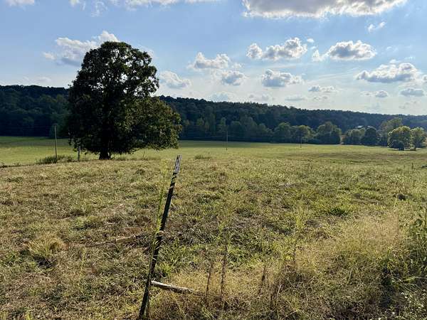 55 Acres of Land for Auction in Greenville, Kentucky