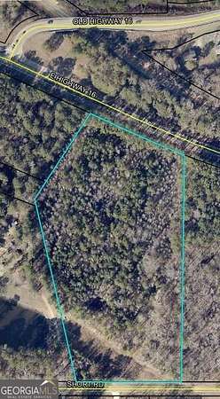 10 Acres of Residential Land for Sale in Sharpsburg, Georgia