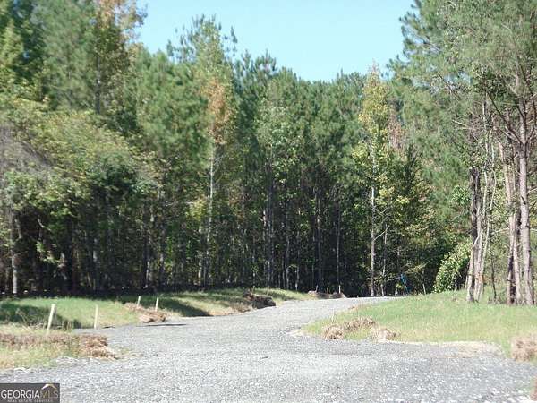 10 Acres of Residential Land for Sale in Sharpsburg, Georgia