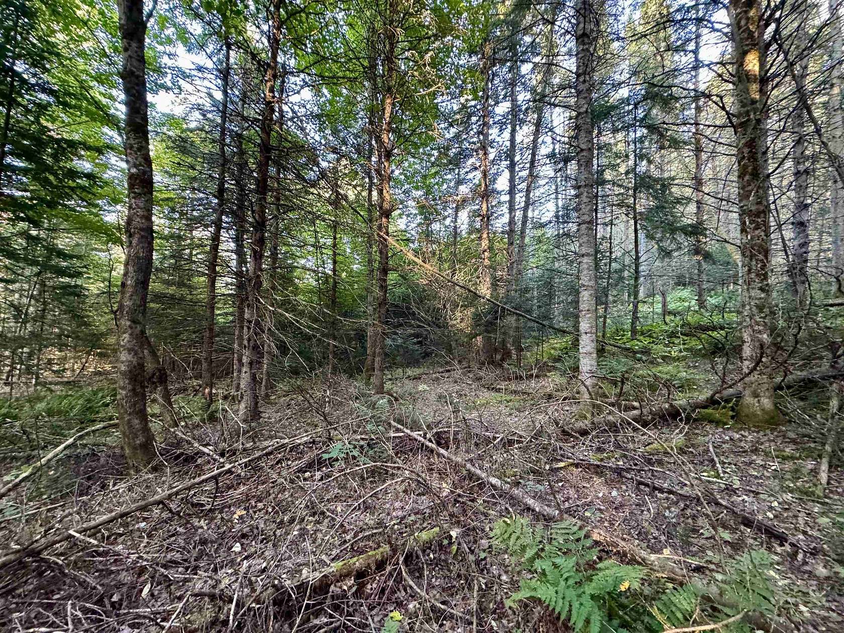 16.1 Acres of Land for Sale in Colebrook, New Hampshire