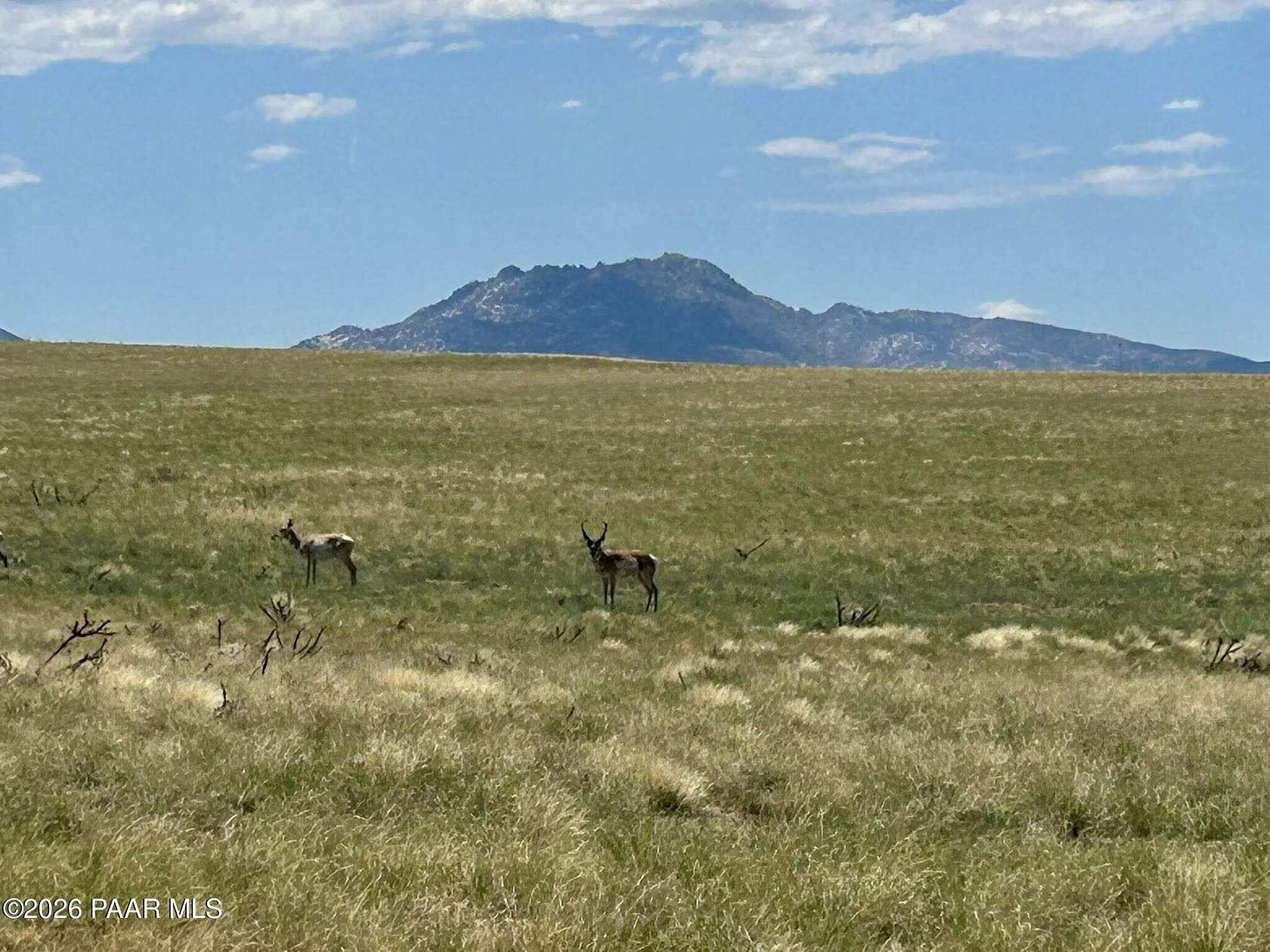 4 Acres of Residential Land for Sale in Prescott Valley, Arizona
