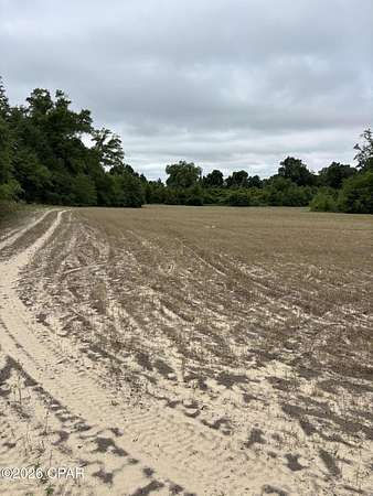 20 Acres of Land for Sale in Greenwood, Florida