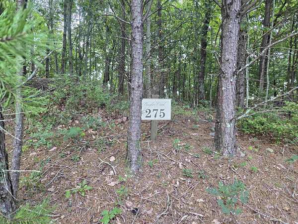 2 Acres of Residential Land for Sale in Mill Spring, North Carolina