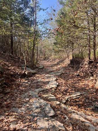 80 Acres of Recreational & Residential Land for Sale in Mountain Grove, Missouri