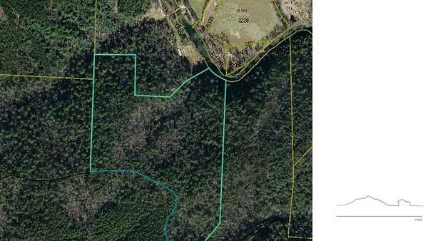 24.2 Acres of Recreational Land for Sale in Ferguson, North Carolina