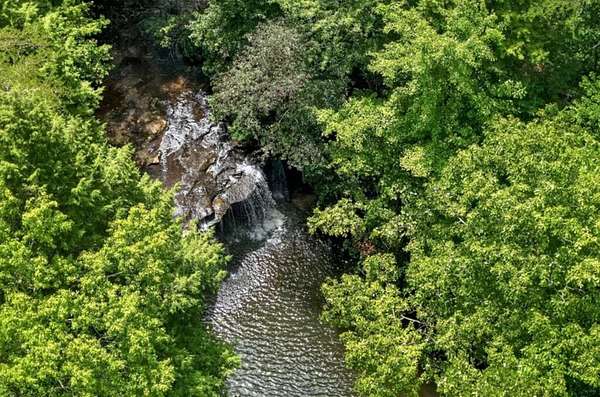 60 Acres of Agricultural Land for Auction in Rock Island, Tennessee