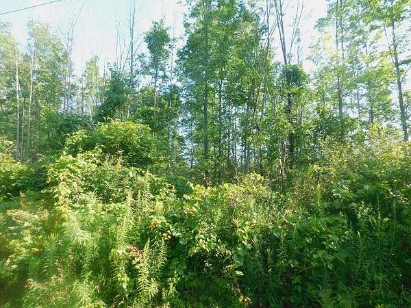 6 Acres of Residential Land for Sale in Waverly, New York