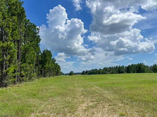 154 Acres of Recreational Land for Sale in Groveton, Texas